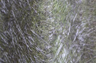 Frinton On Sea fibreglass roof work